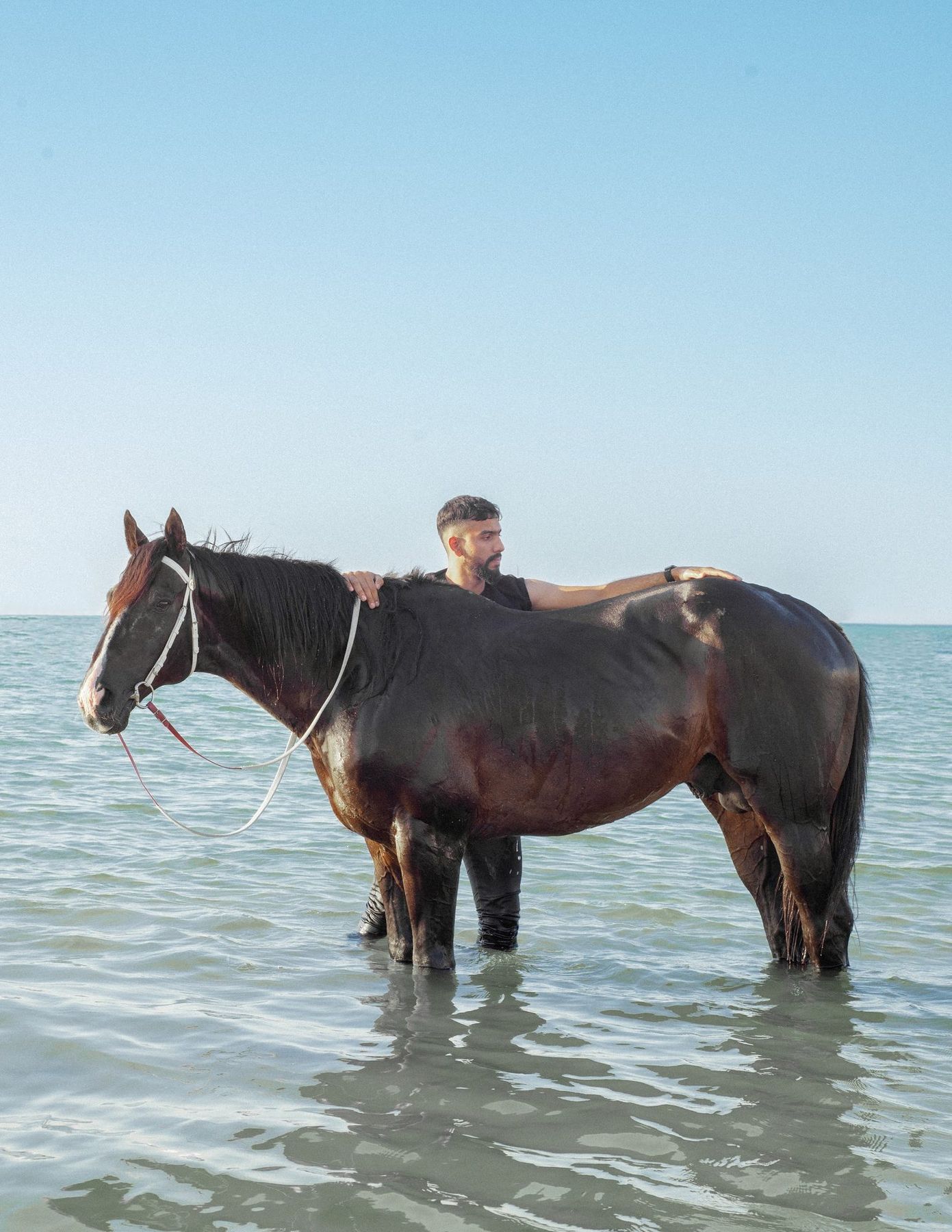 HELD WHILE MOVING · Ali Shehabi