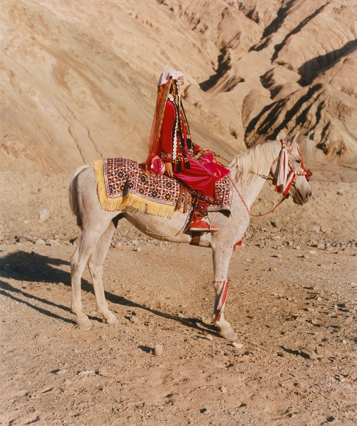TAXKORGAN: decorated white horse