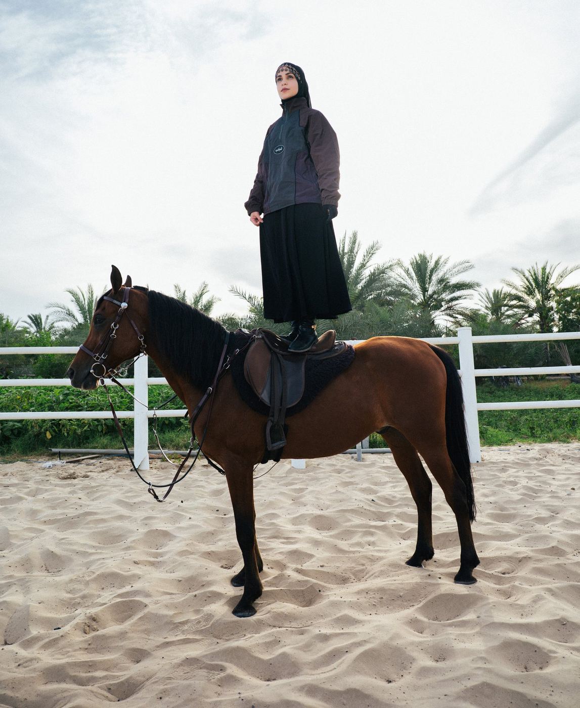 THE CHARGE: rider standing with a horse